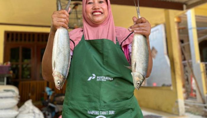 Didukung Pertamina, Warga Kalanganyar Ciptakan UKM Kucari untuk Kemandirian Ekonomi