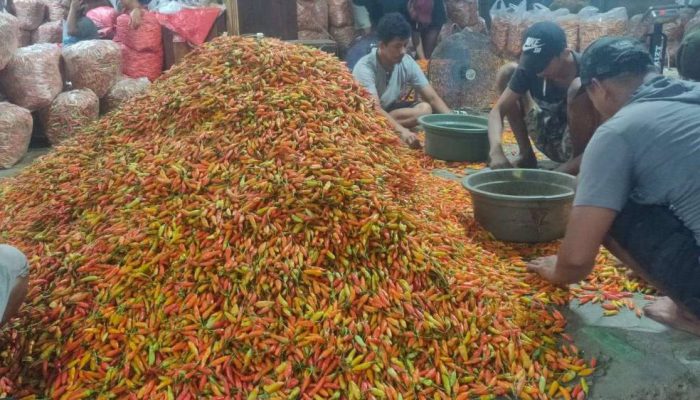 Harga Cabai Rawit di Kediri Naik, Pasokan Turun