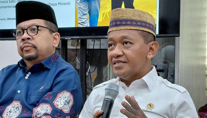 Presiden Prabowo Targetkan Seluruh Desa Teraliri Listrik pada 2030