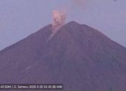 Semeru Erupsi Pagi Hari, Kolom Abu Capai 4.476 Mdpl; Status Tetap Awas