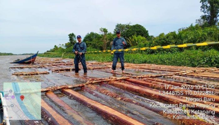 Ketapang, Kalbar: Gakkum Kehutanan Bongkar Industri Kayu Ilegal