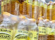 Ekspor CPO Turun, DMO Minyakita Ikut Anjlok di Pengujung 2025