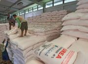 Kementan Tetapkan Alokasi 9,55 Juta Ton Pupuk Subsidi pada 2026