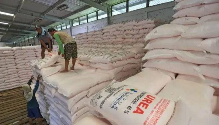 Kementan Tetapkan Alokasi 9,55 Juta Ton Pupuk Subsidi pada 2026
