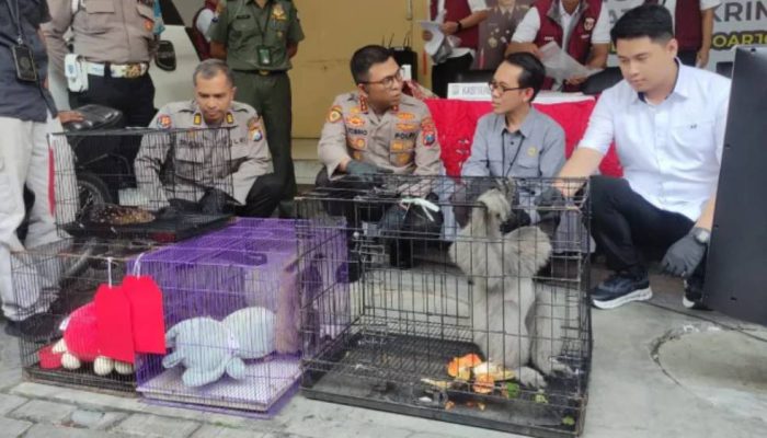 Polresta Sidoarjo Bongkar Perdagangan Satwa Dilindungi, Diduga Terhubung Pasar Gelap Internasional