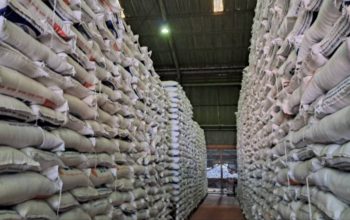 Stok Pangan Nasional Dipastikan Aman Meski Konflik Timteng Memanas