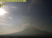 Waspada! Aktivitas Gunung Semeru Meningkat di Level Siaga