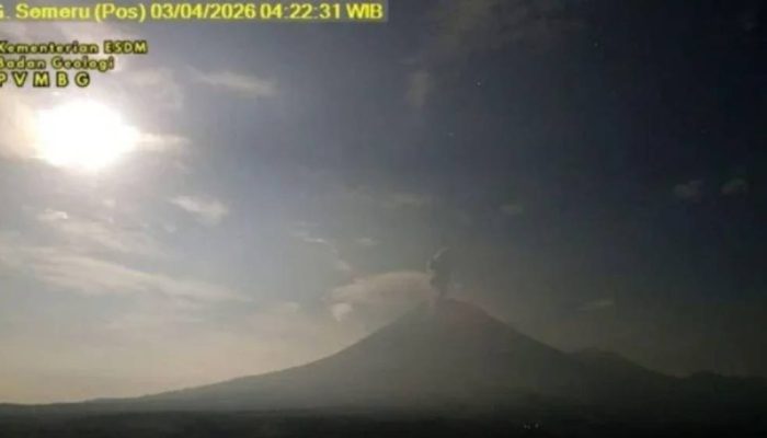 Waspada! Aktivitas Gunung Semeru Meningkat di Level Siaga