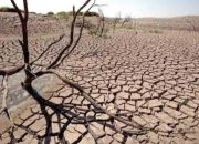 Kemarau 2026 Datang Lebih Awal, Ini Jadwal Lengkap Versi BMKG