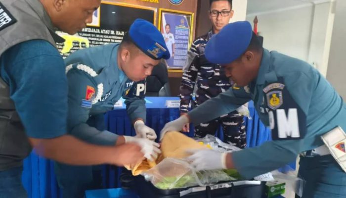 Bandara Juanda Gagalkan Pengiriman BBL Ilegal Senilai Rp1,1 Miliar