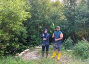 TPS Salurkan 3.000 Bibit Mangrove untuk Penghijauan Pesisir Sontoh Laut