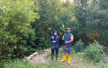 TPS Salurkan 3.000 Bibit Mangrove untuk Penghijauan Pesisir Sontoh Laut