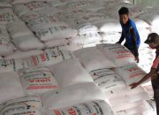 RI Genjot Ekspor Pupuk Urea ke Australia di Tengah Geopolitik Global Memanas