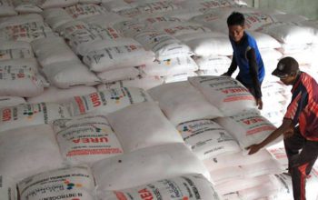 RI Genjot Ekspor Pupuk Urea ke Australia di Tengah Geopolitik Global Memanas