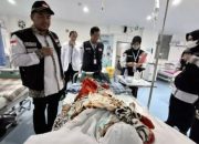 BPJS Kesehatan Ingatkan Jemaah Haji Pastikan Kepesertaan JKN Aktif Sebelum Berangkat