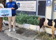 TPS Gandeng LMI Salurkan Kurban, Wujudkan Kepedulian Sosial Berkelanjutan