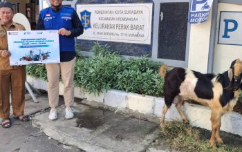TPS Gandeng LMI Salurkan Kurban, Wujudkan Kepedulian Sosial Berkelanjutan