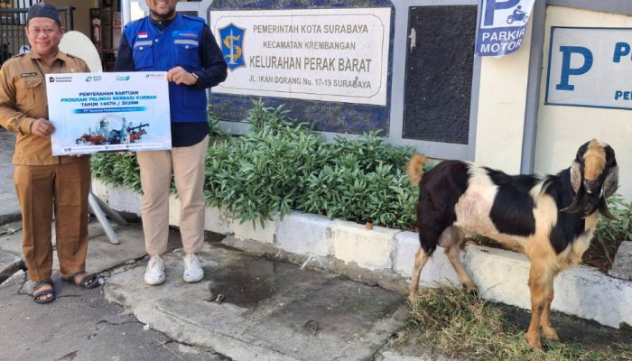 TPS Gandeng LMI Salurkan Kurban, Wujudkan Kepedulian Sosial Berkelanjutan