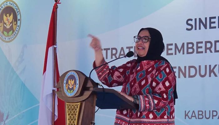 Prabowo Tunjuk Nanik Sudaryati Deyang Pimpin Badan Gizi Nasional untuk Perkuat Program MBG
