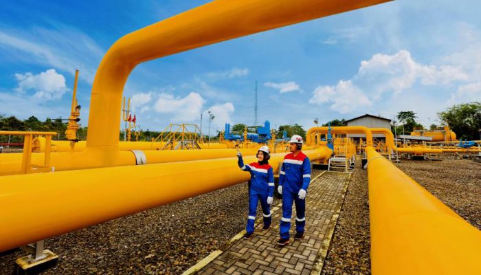 Didukung Infrastruktur dan Keuangan Solid, PGN Fokus Perkuat Pertumbuhan Jangka Panjang