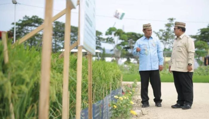Prabowo: Indonesia Kini Mulai Ekspor Pangan, NTP Tembus Rekor 34 Tahun