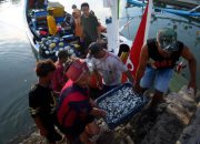 Jadi Percontohan Internasional, Banyuwangi Tuan Rumah Forum Ekonomi Biru ASEAN 2026