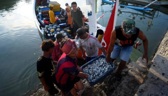 Jadi Percontohan Internasional, Banyuwangi Tuan Rumah Forum Ekonomi Biru ASEAN 2026
