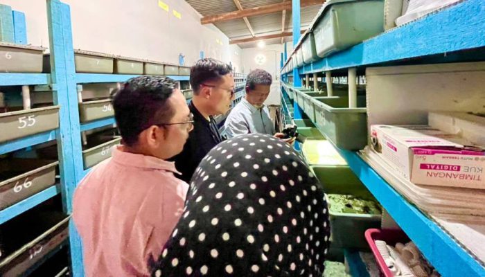 Sinergi ESG: Pelindo Terminal Petikemas dan Terminal Teluk Lamong Salurkan Bantuan Sarpras untuk 7 Kelurahan