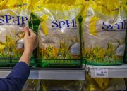 Antisipasi El Nino Ekstrem, Pemerintah Genjot Distribusi Beras SPHP untuk Stabilkan Harga