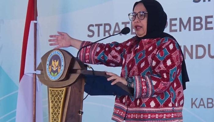 Presiden Prabowo Terima Pengunduran Diri Kepala BGN Nanik S Deyang