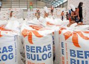 BULOG Pastikan Penyerapan Gabah Tetap Berlanjut Meski Target 4 Juta Ton Tercapai