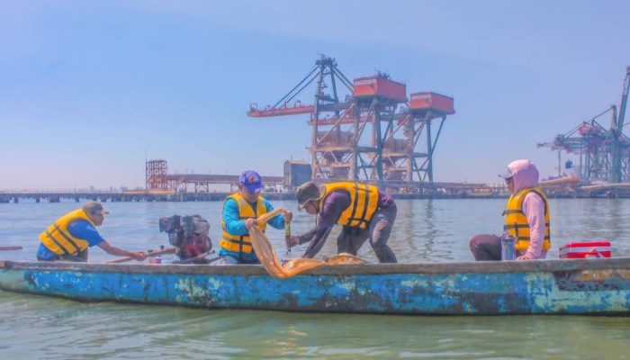 Perkuat Konsep Green Port, PT Terminal Teluk Lamong Gandeng BRIN Petakan Keanekaragaman Biota Laut