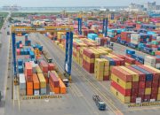 Arus Peti Kemas TPS Tumbuh 11,79 Persen pada Juli 2026