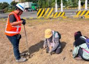 Komitmen Hijau Terminal Teluk Lamong, Kolaborasi Riset Ekologis dengan BRIN untuk Pengayaan Keanekaragaman Hayati