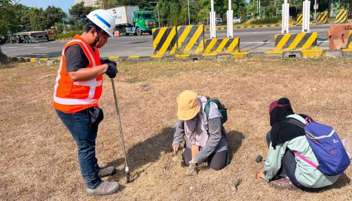 Komitmen Hijau Terminal Teluk Lamong, Kolaborasi Riset Ekologis dengan BRIN untuk Pengayaan Keanekaragaman Hayati