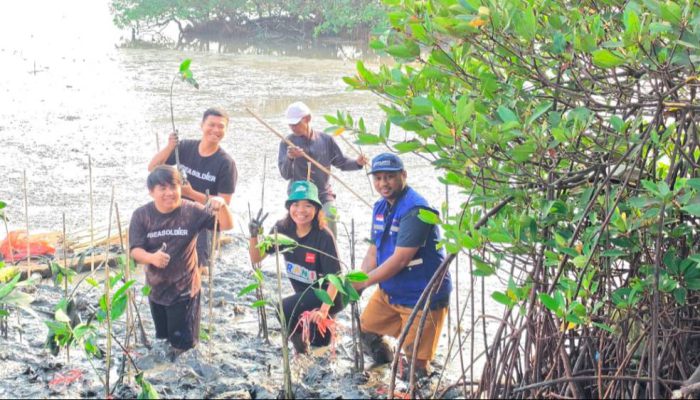 Perkuat Pelestarian Pesisir, TPS Salurkan 3.000 Bibit Mangrove ke Tambak Sarioso