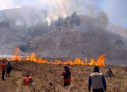 TNBTS Kembali Dibuka 20 Agustus, Wisata Bromo Bangkit Usai Kebakaran