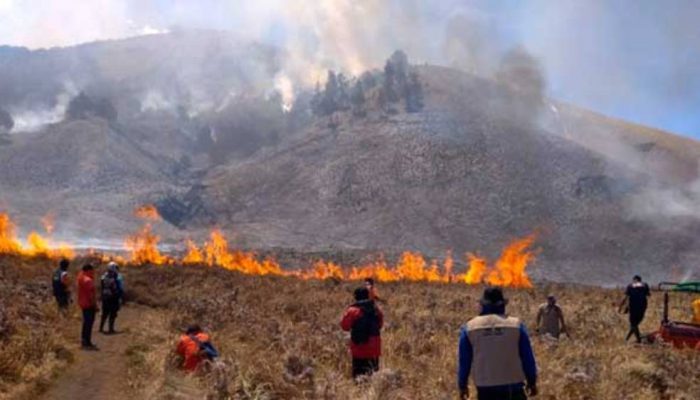 TNBTS Kembali Dibuka 20 Agustus, Wisata Bromo Bangkit Usai Kebakaran