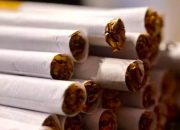 Aturan Kemasan Polos Rokok Belum Final, Pemerintah Kaji Dampak ke Industri dan Penerimaan Negara