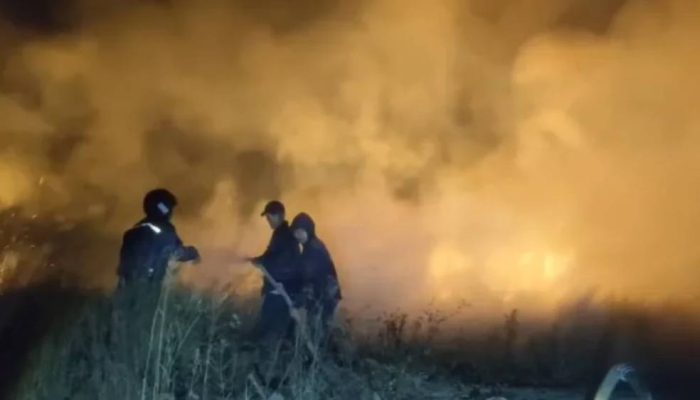BPBD Banyuwangi Tetapkan Empat Kecamatan Rawan Tertinggi Karhutla