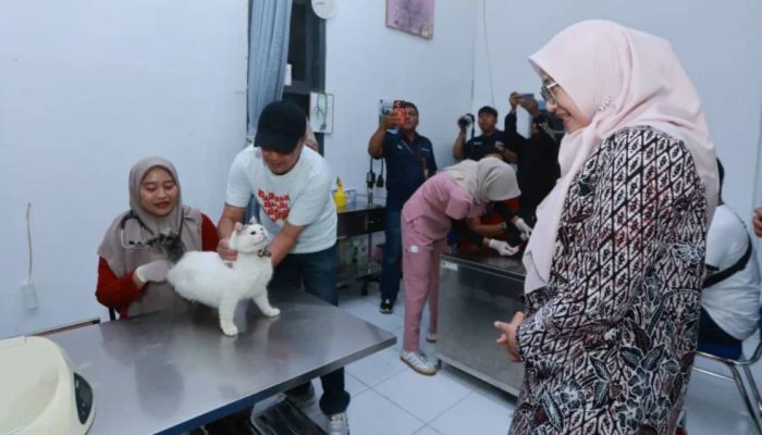 Pertahankan Status Bebas Rabies, Pemkab Banyuwangi Gelar Vaksinasi Gratis GOCAT+R