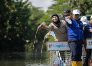 Peringati Hari Sungai Sedunia 2026, Aksi Bersih Kali Tebu Surabaya Berhasil Angkut 3,12 Ton Sampah