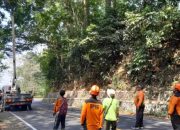 Antisipasi Longsor, BPBD Jember Perkuat Penanganan Retakan Jalan Gunung Gumitir