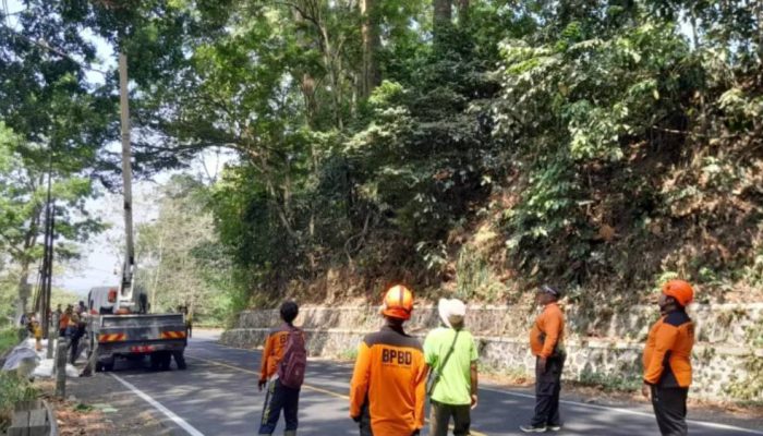 Antisipasi Longsor, BPBD Jember Perkuat Penanganan Retakan Jalan Gunung Gumitir