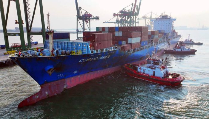 Lima Tahun Bersatu, TTL Terus Tumbuh dan Bertransformasi Bersama Pelindo